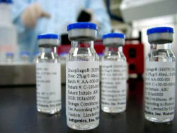 Вакцина от гриппа: какую выбрать?