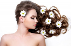 Красивая прическа – на весь день