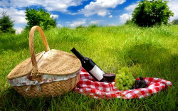 Что необходимо брать с собой на пикник?