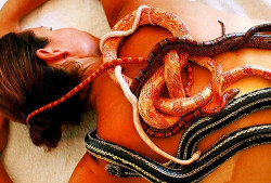 Массаж змеями и улиткотерапия