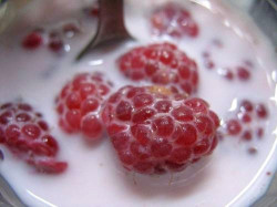 Следует ли женщинам  есть мороженое?