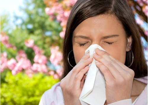 Как избежать приступов аллергии